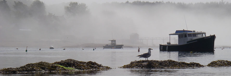 /component/content/article/4-foggy-morning.html